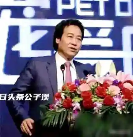 原创陈金飞为什么放弃刘亦菲选择杨采钰说出来都没人相信