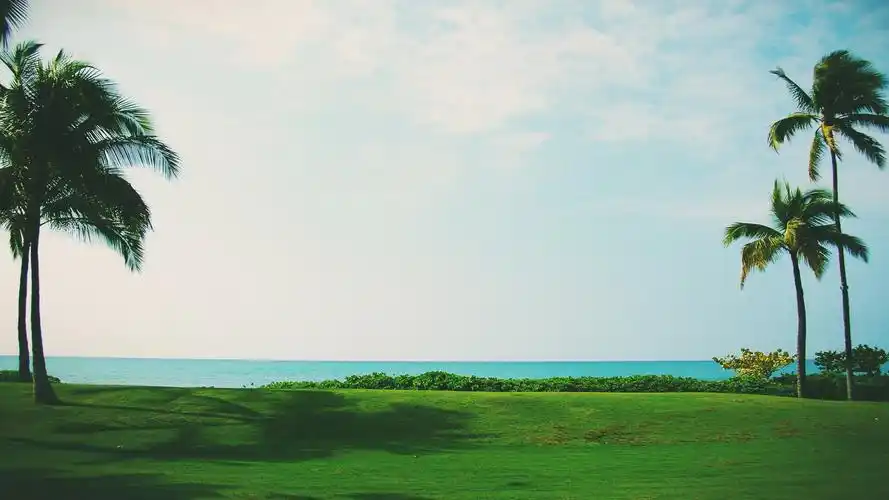 保存图片,或者设为壁纸 2,现在显示的是原图,为了适应手机屏幕,自动