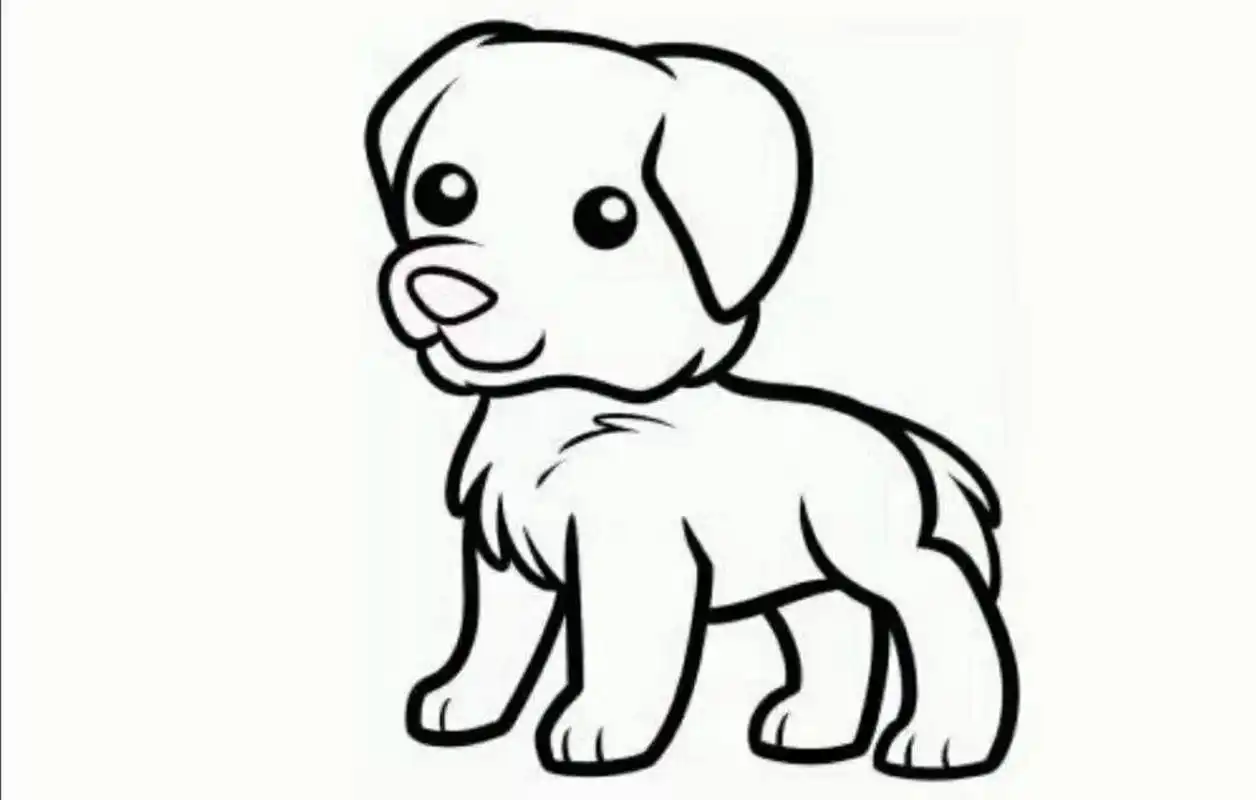 幼儿园小班动物涂色简笔画 动物简笔画