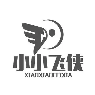 em>小小飞侠 /em>