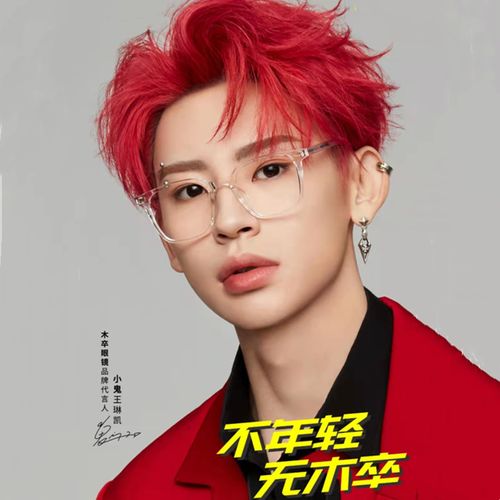 木卒近视眼镜架黑框男超轻板材蓝光女小鬼明星同款21079超值热卖