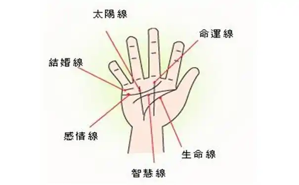 图片来源网络,如有侵权请联系站长删除要是孩子手中的掌纹是比较深刻