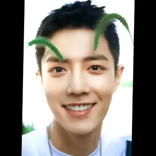 肖战#这是新鲜的战战,我居然羡慕一根狗尾巴草?