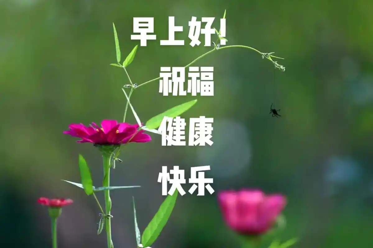 祝福大家都平安健康幸福快乐 #快乐生活每一天 #生活是一种 - 兑趑