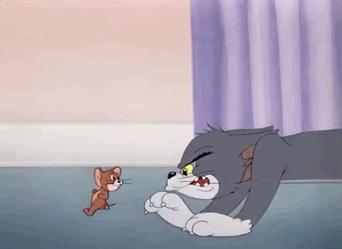 真人版猫和老鼠汤姆和杰瑞看了都气到和好