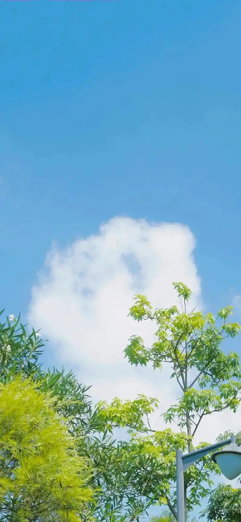 壁纸潮图 #壁纸分享  - 抖音