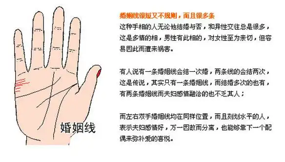 婚姻线尾部往上翘缺乏结婚的意愿.