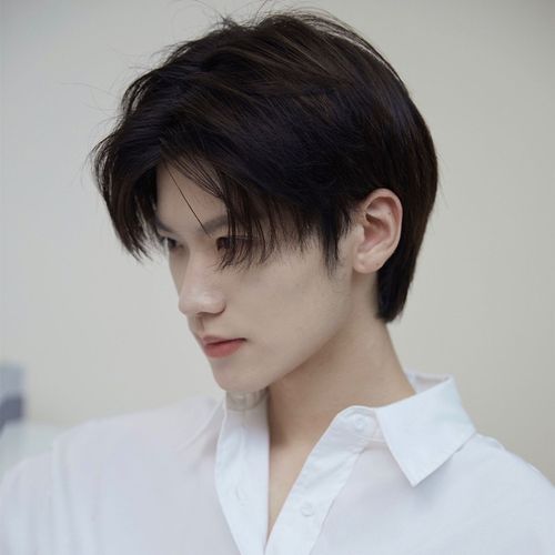 假发男短直发