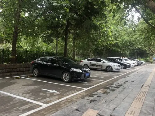 惠民工程——林荫停车场 缓解停车难