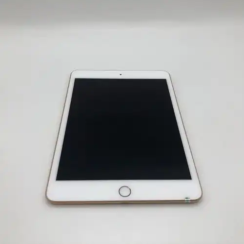 苹果【ipad mini5 7.