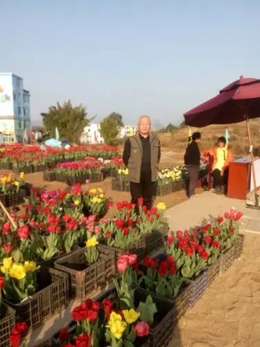 赣州市蓉江新区五彩城花博圆之游