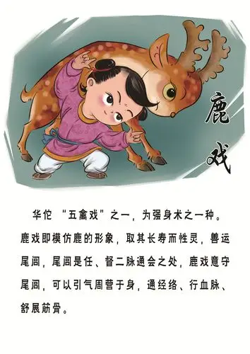 华佗五禽戏