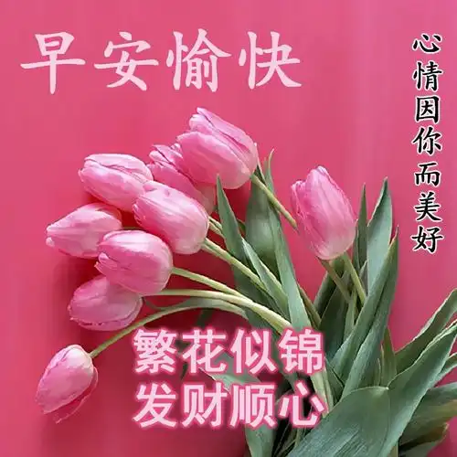 早安图片鲜花(鲜花图片大全)