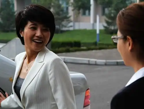 打开新浪新闻除此之外,颜丙燕也被观众称做是,中国的"梅丽尔 斯特里普