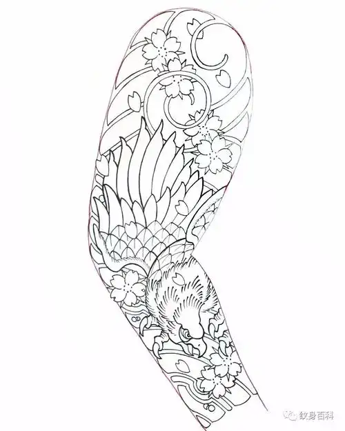 花臂割线手稿实用