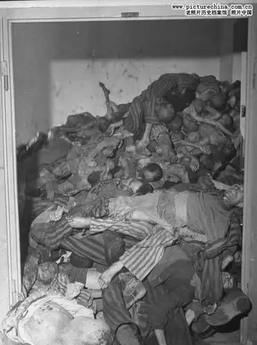 德国纳粹集中营惨烈屠杀照片