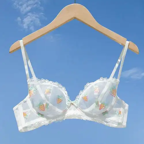 法式透明胸罩女超薄款蕾丝性感内衣诱惑刺绣文胸bra[单件/套装] 白色