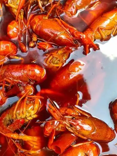 299元一斤的辣卤小龙虾买三斤还送半斤你确定不心动
