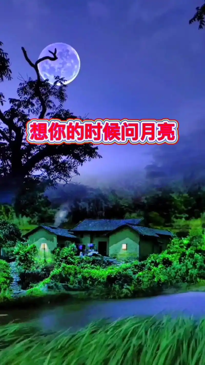 晚上好,一首好听的歌,#想你的时候问月亮,一起分享,祝友友们 - 抖音