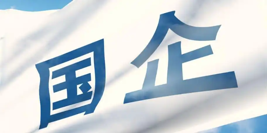 经济观察报 记者 王雅洁2023年以来,朱昌明开始接触到一些不同的国有