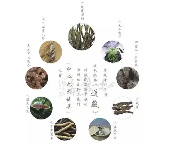 长见识了居然这才是中华九大仙草排行榜