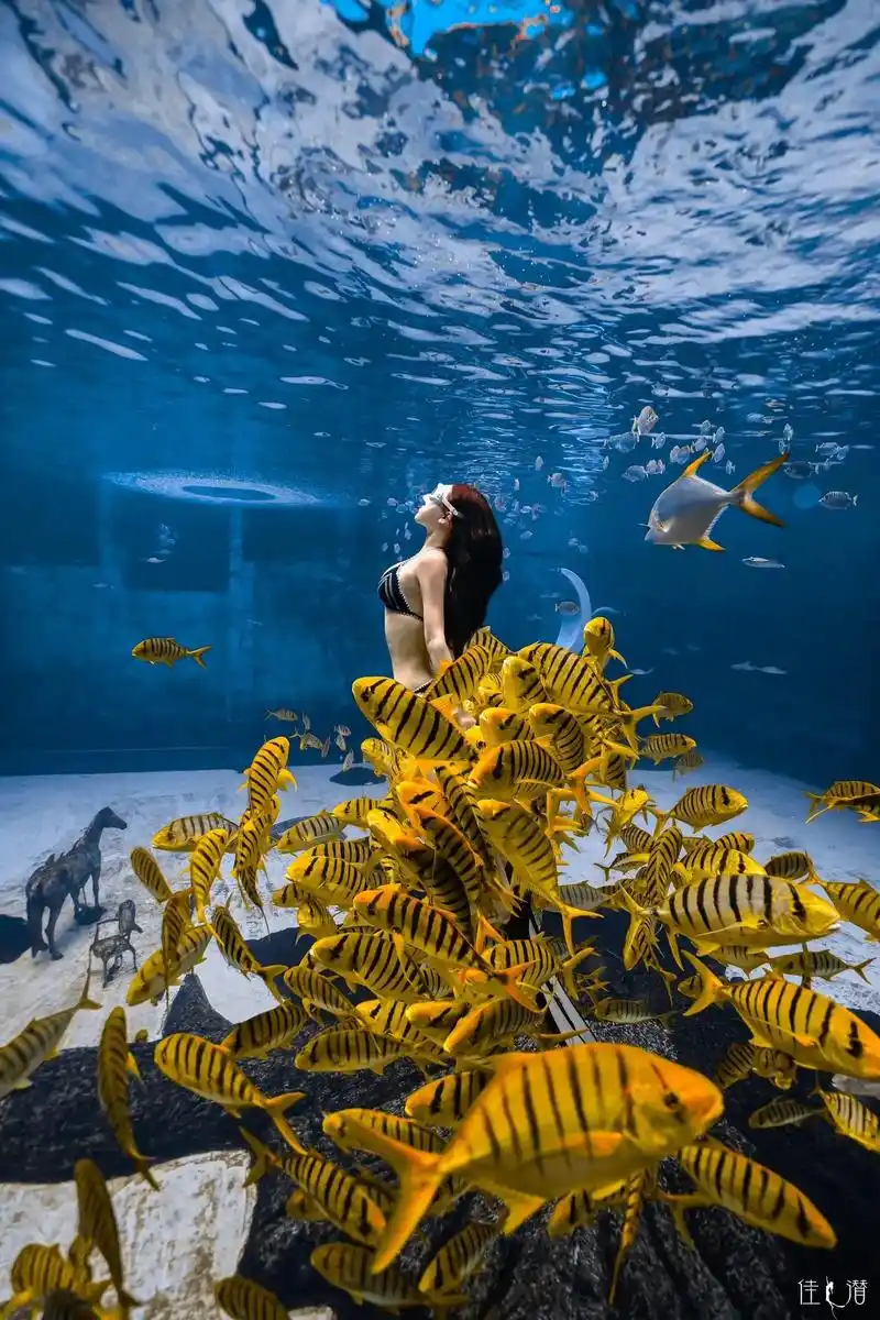 自由潜 #水下摄影～你烦什么 你漂亮 有思想 会赚钱 - 抖音