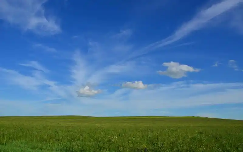 呼仑贝尔大草原唯美风景桌面壁纸