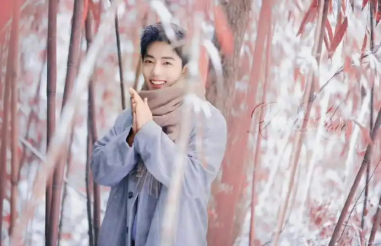 节日限定壁纸肖战