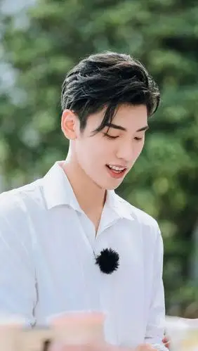 手机壁纸王子异