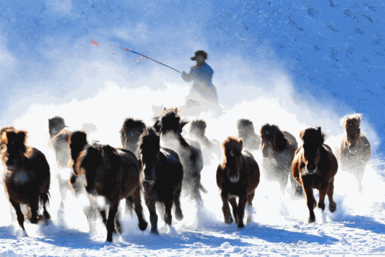 1079_719gif 动态图 动图