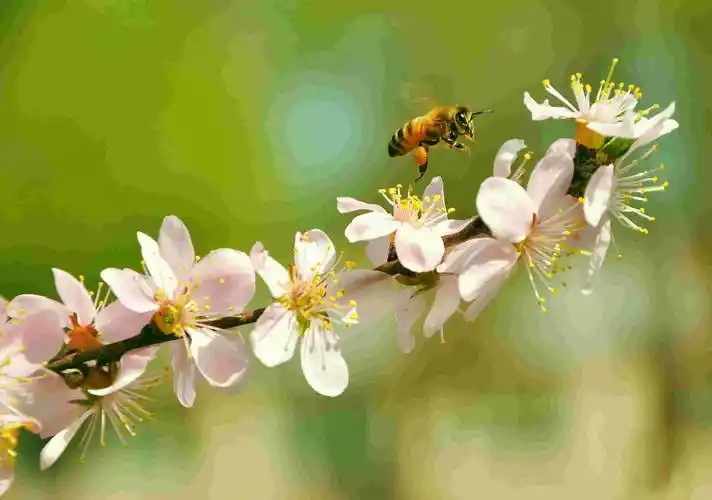 中国军垦文化之乡奋进新征程建功新时代文艺作品展播丨摄影三