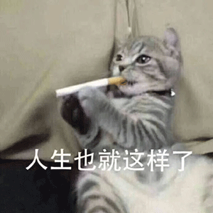可爱萌宠猫咪人生也就这样了表情包-表情包网站