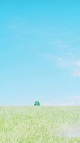 小清新背景壁纸来啦