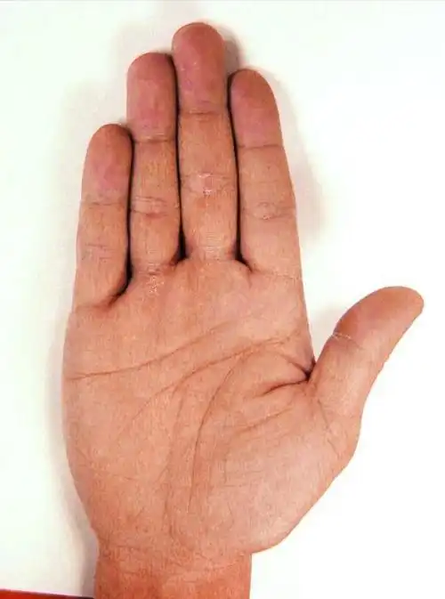 手掌决定能否存财!手薄无肉难聚财,有茧代表赚钱给别人用?