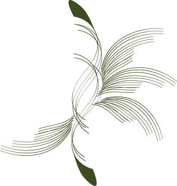 免抠元素-免抠png元素-png素材下载-万素网