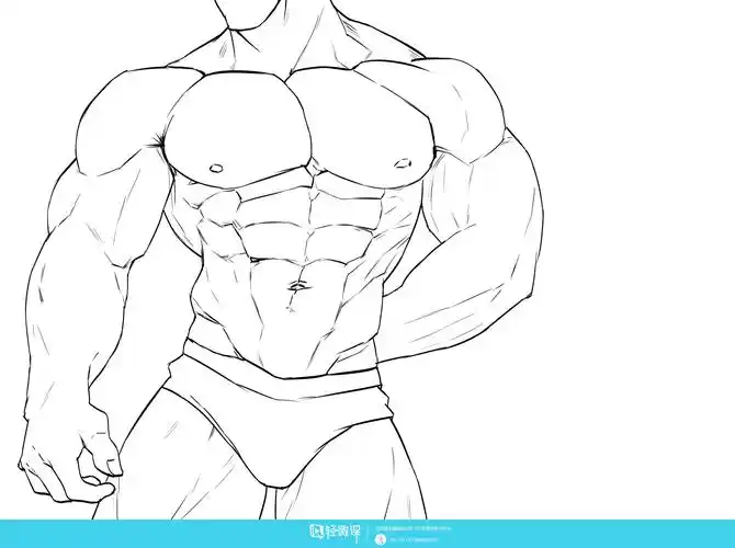 临摹男性肌肉角色人物肌肉绘画训练