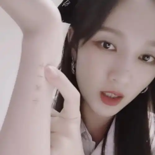 分享一波孟佳的八个纹身内含巨量图片适宜作厕所读物bushi6193