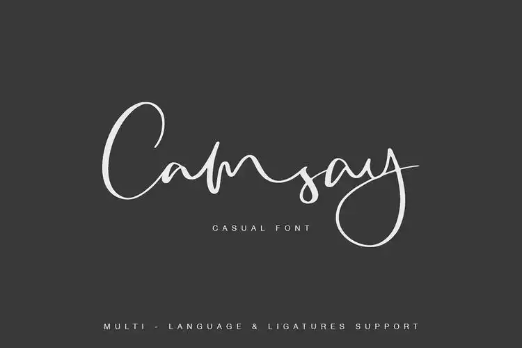 飘逸手写书法英文字体下载camsayscriptfont