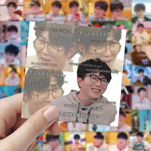 360张毛不易表情包贴纸趣味明星精神状态搞笑装饰diy手账墙面贴画