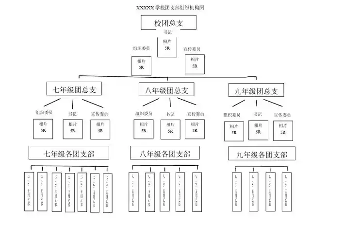 团支部组织机构图