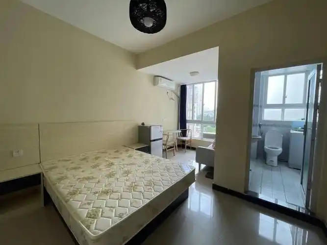 金科佳苑整租一室一厅一卫