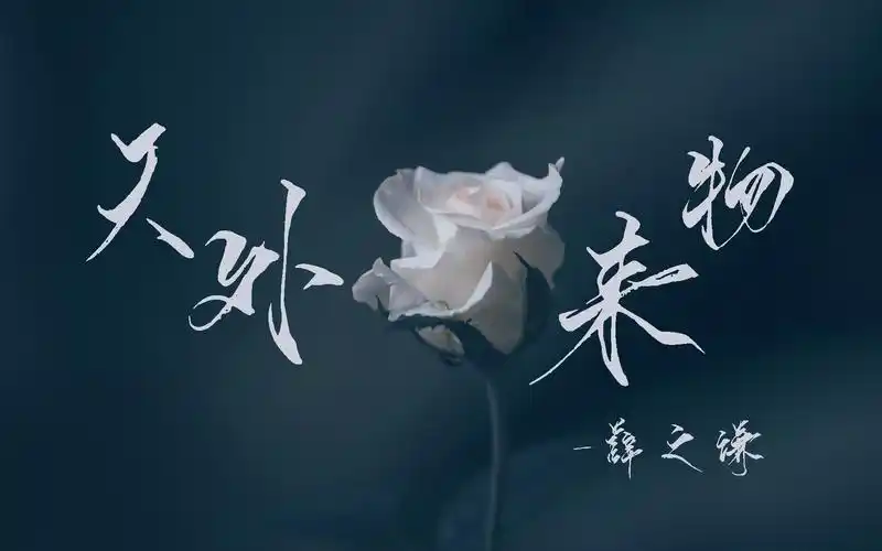 【歌词排版|天外来物-薛之谦】你就像天外来物一样求之不得