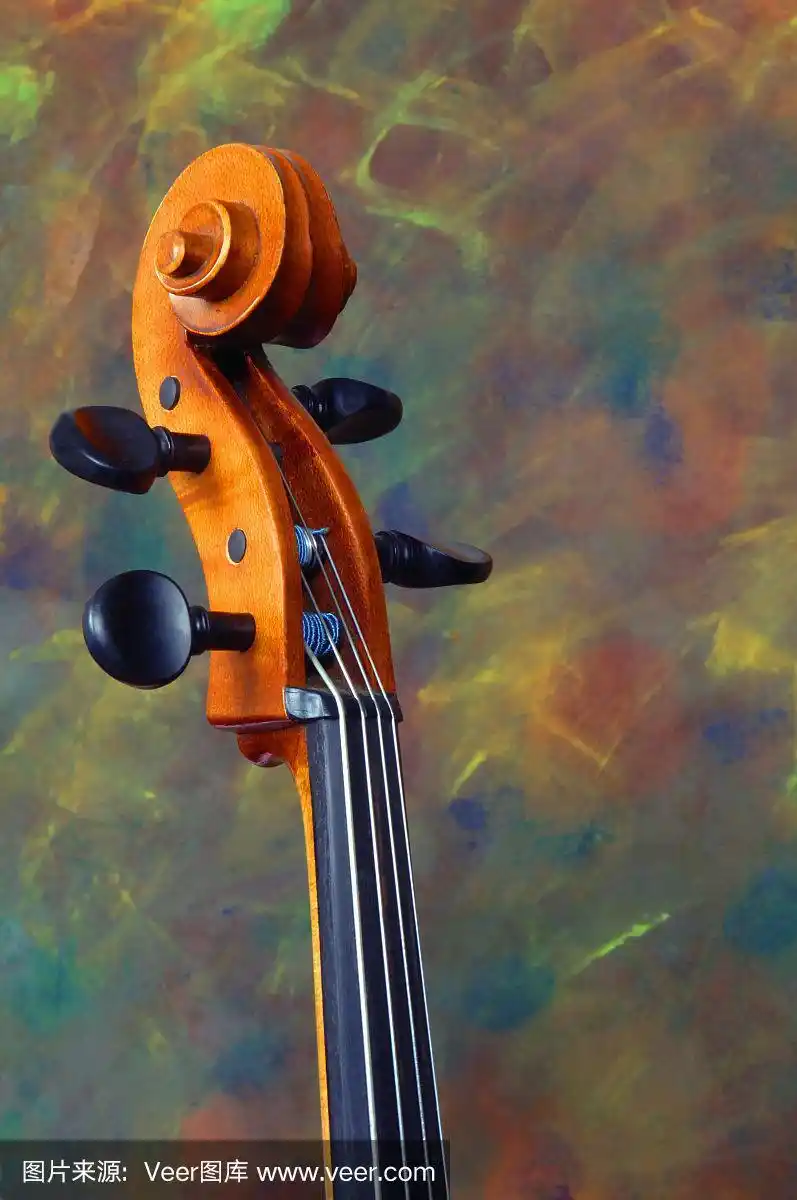 这是大提琴顶部部分的特写