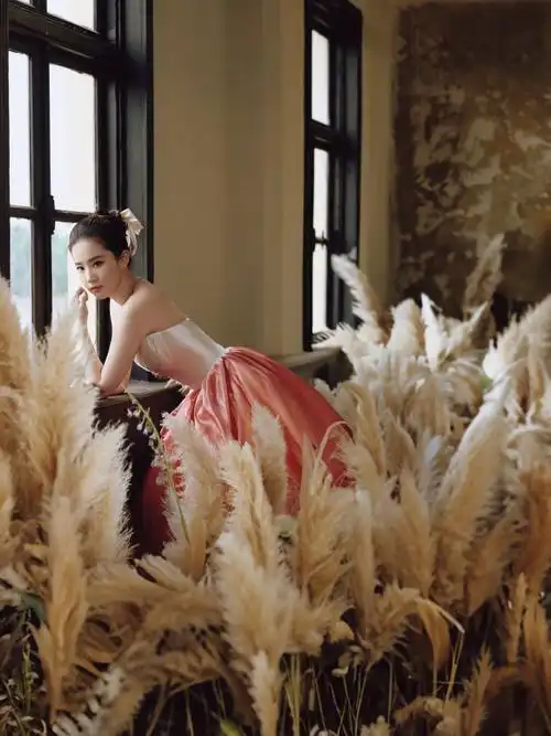 刘亦菲高颅顶丸子头