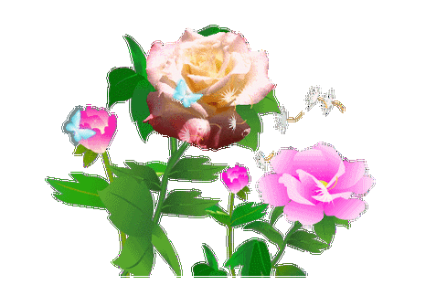 花草组合应用式样(欢迎朋友光临指导)地址永不失效根据swf格式抠图