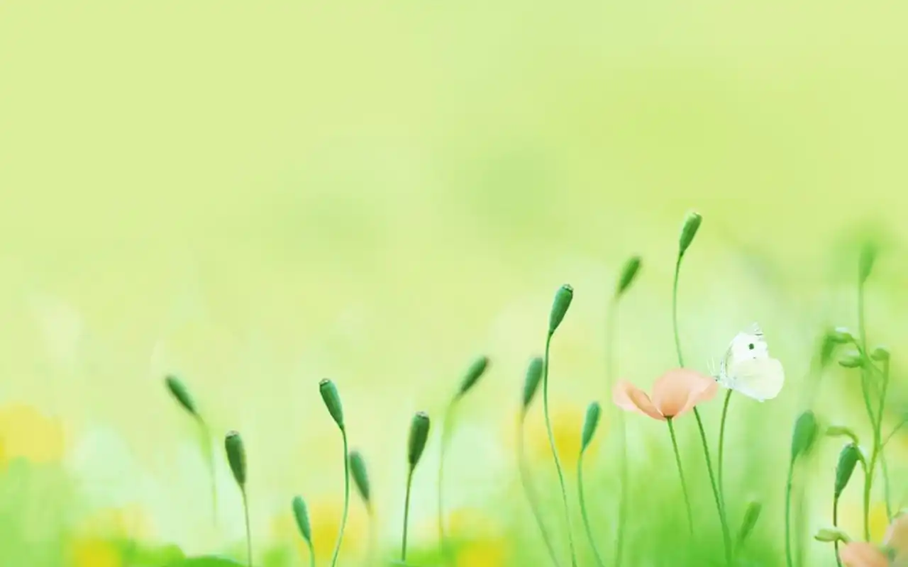 可爱小清新桌面壁纸大全