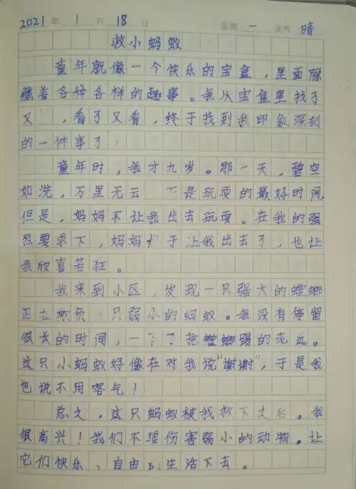 三年级(10)班张子豪寒假日记生涯