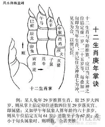 十二地支与生肖掌诀