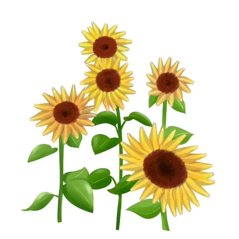 卡通向日葵素材,让你的设计更加生动有趣!