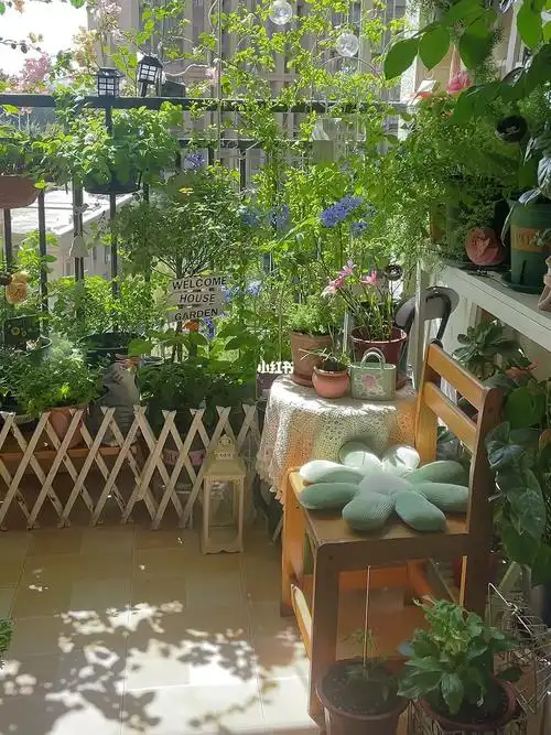 我的阳台小花园